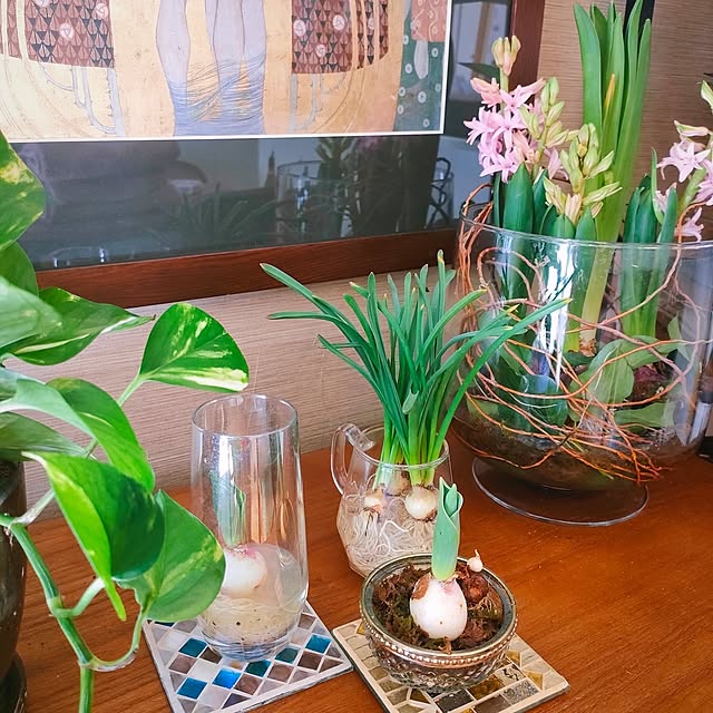 Yoko622さんの部屋