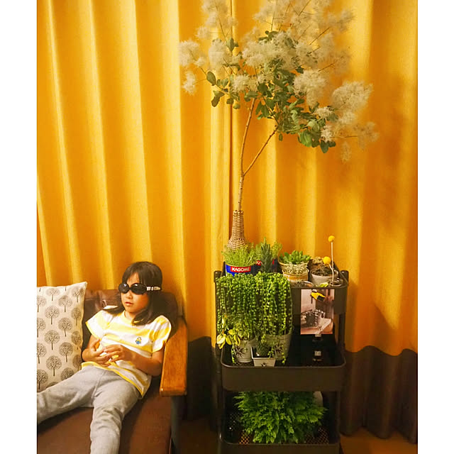 ncnmyc61さんの実例写真
