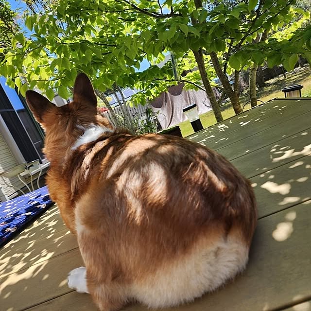 yaikoさんの部屋
