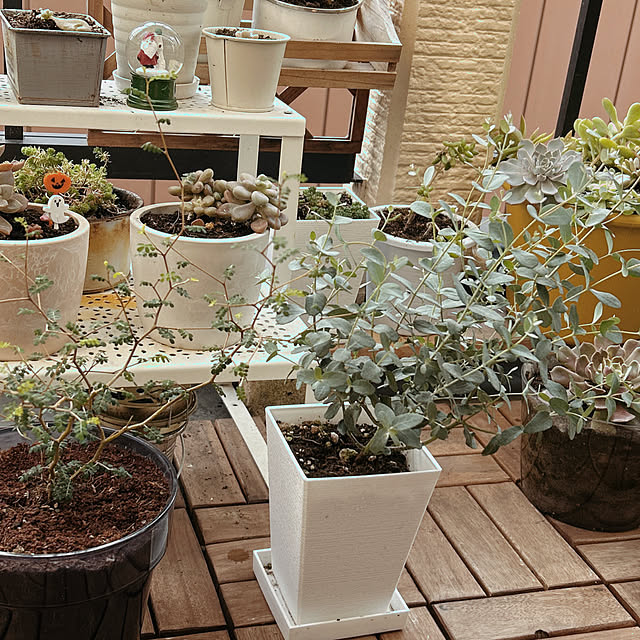 ruuuさんの実例写真