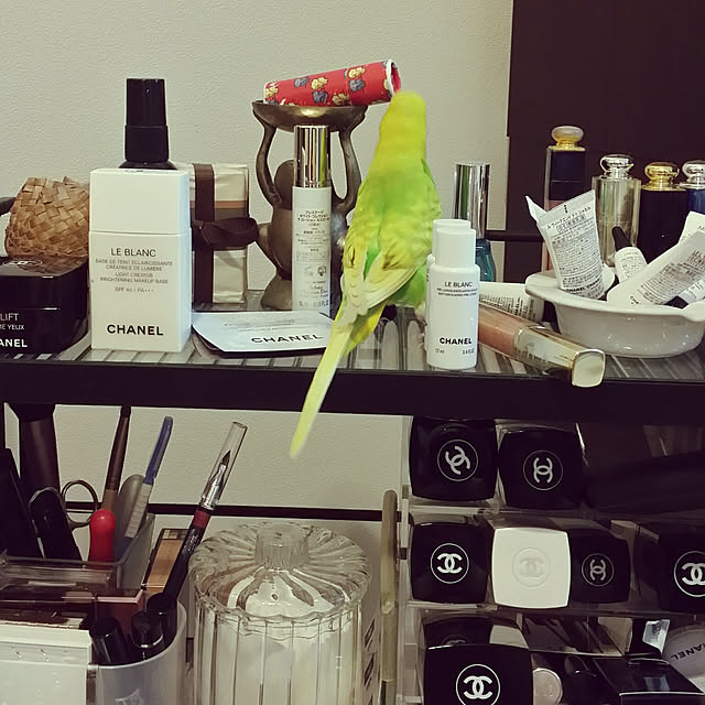 m-kinocoさんの実例写真