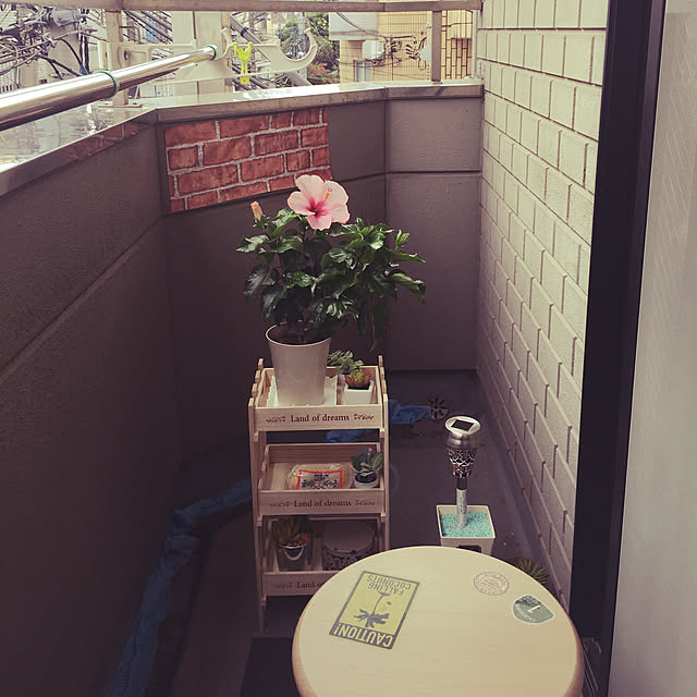 TETSUKO100さんの実例写真
