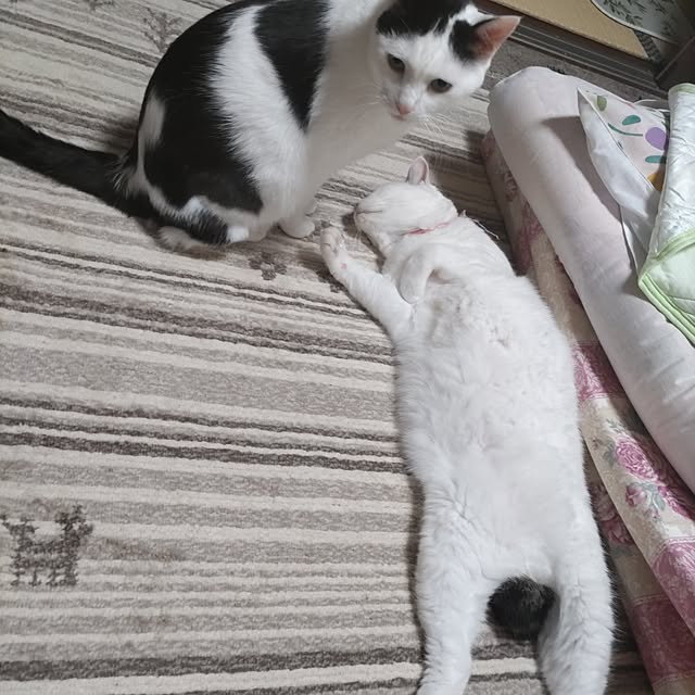 yuuさんの部屋