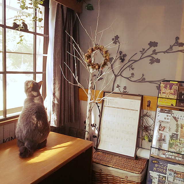 naoporonさんの実例写真