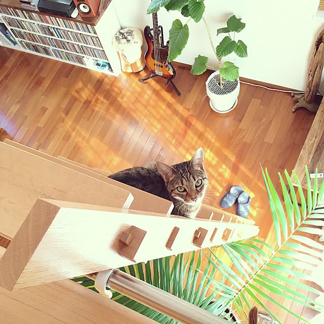 a.kndさんの実例写真