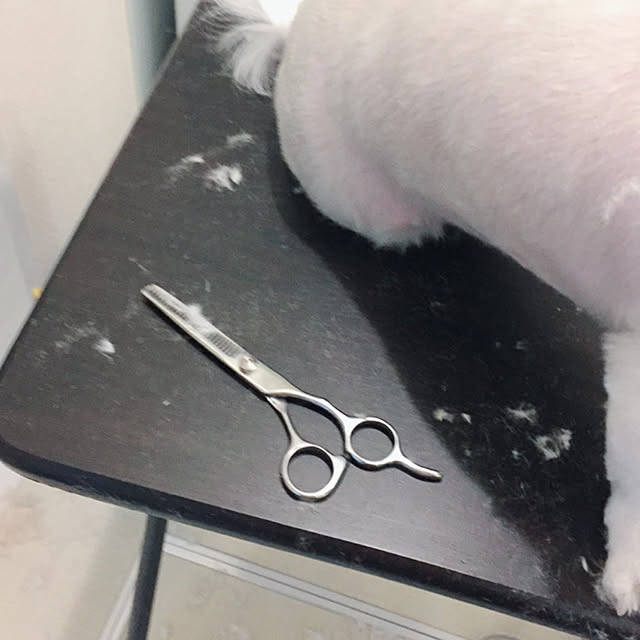 emiさんの実例写真