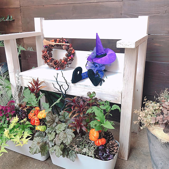 ほんのりハロウィン/小さな花壇DIY/ソラナムパンプキン/ベンチDIY/中古一戸建て...などのインテリア実例 - 2021-10-16 19:17:54