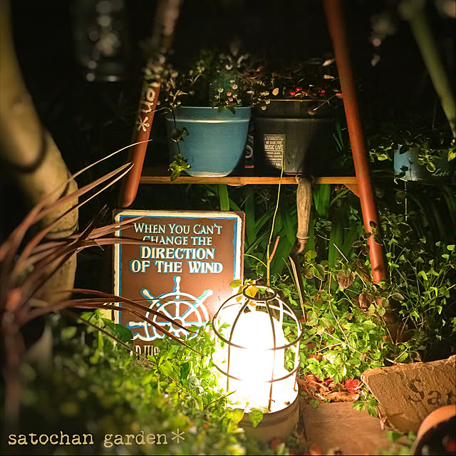 satochanさんの実例写真