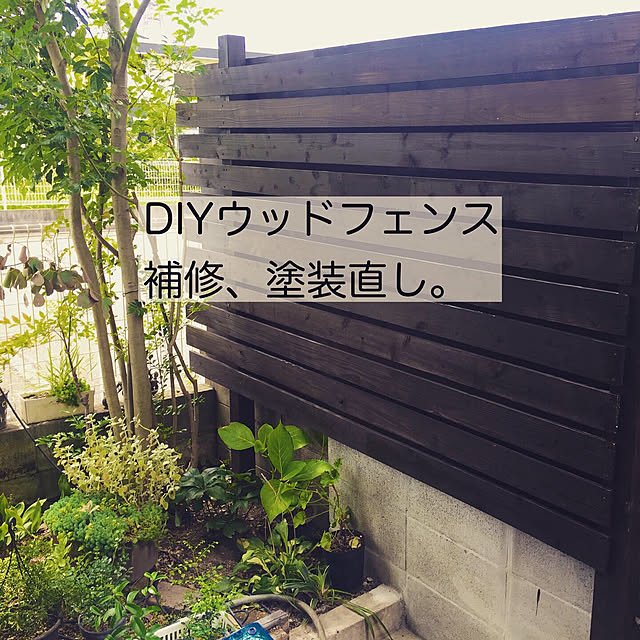 maronさんの実例写真