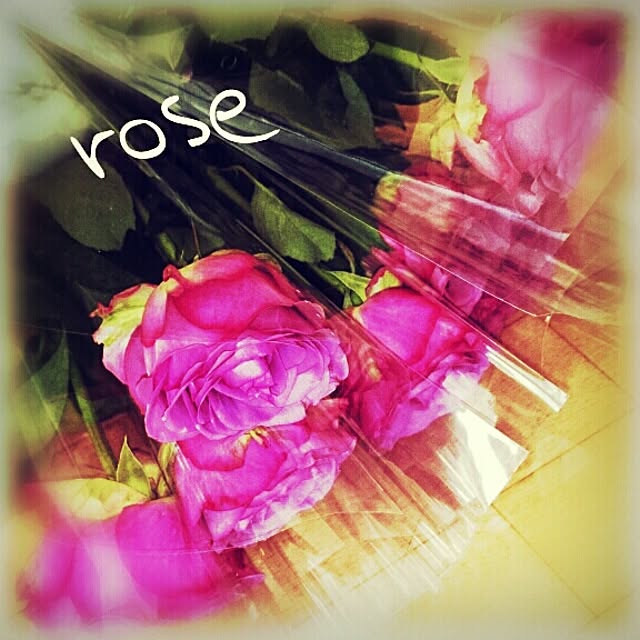 rikopeeさんの実例写真