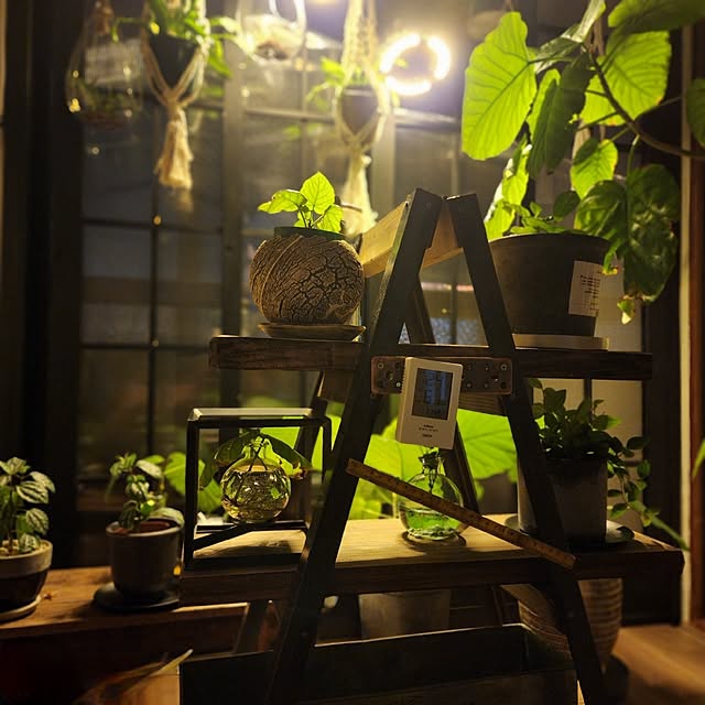 CYNOSさんの部屋