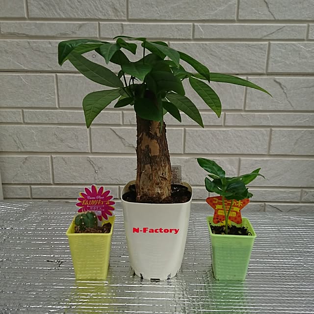 N-Factoryさんの実例写真