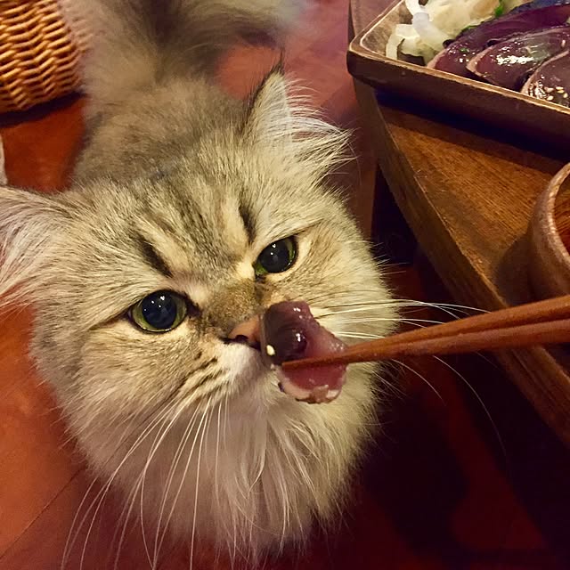 butachanさんの実例写真