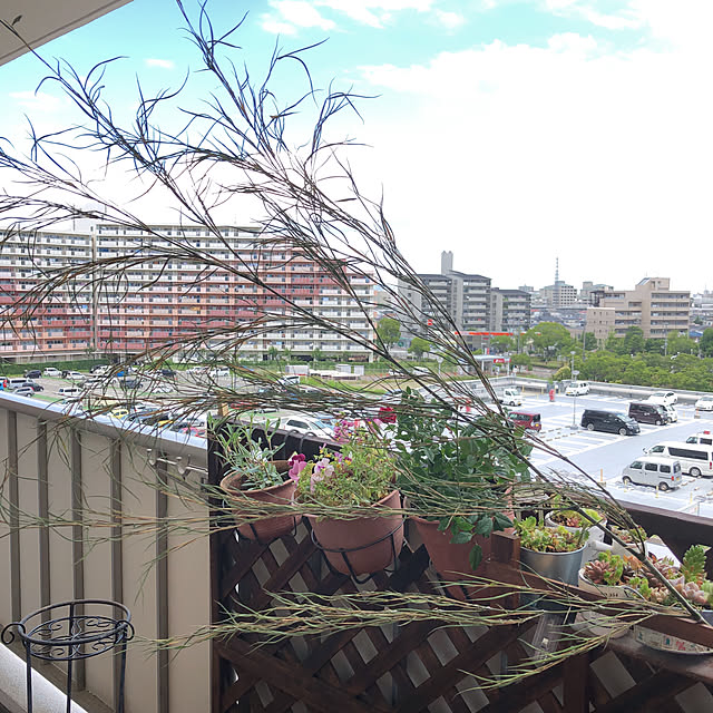 kojiro120513さんの実例写真