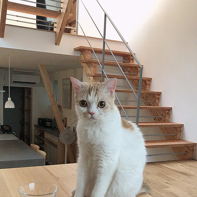 makimakiさんの実例写真