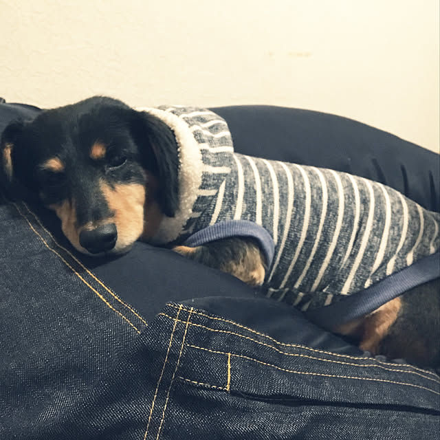 ohanaさんの実例写真