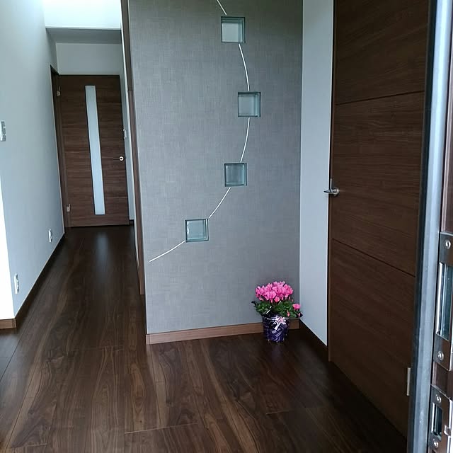 玄関/入り口のインテリア実例 - 2017-06-05 12:59:59