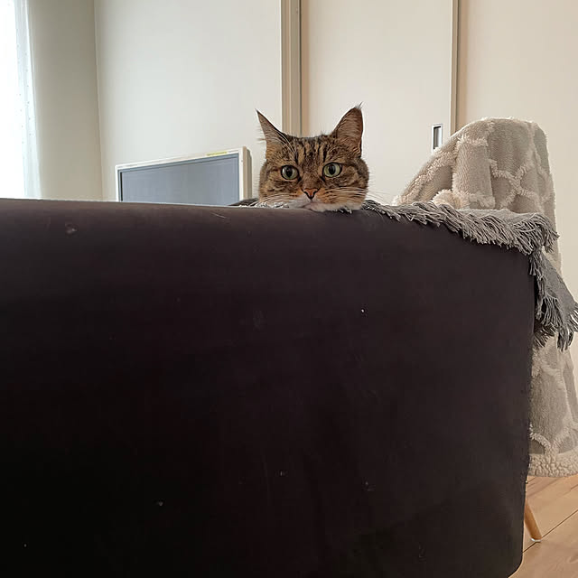 RURuさんの実例写真