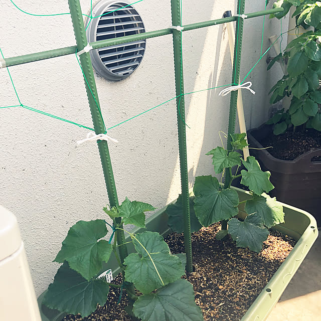 hanachanさんの部屋