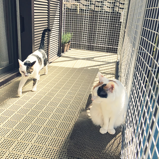 yocchiさんの実例写真