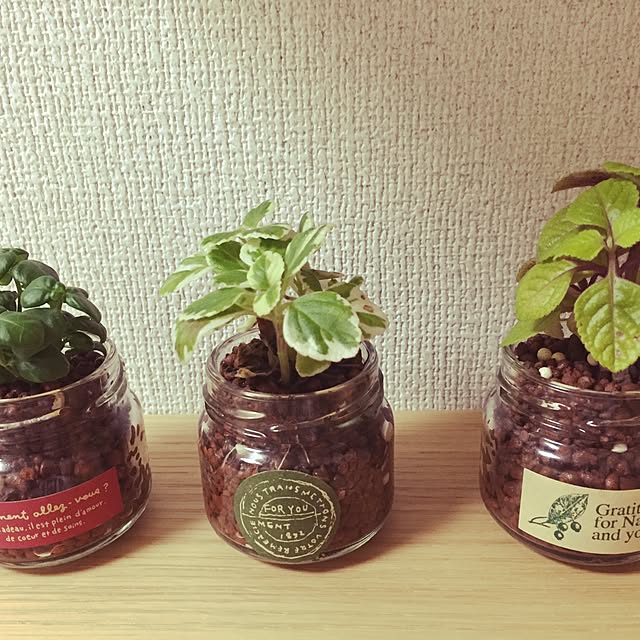 moamoaさんの実例写真