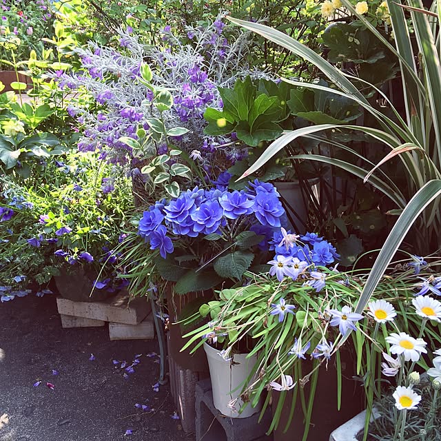 mochikoさんの実例写真