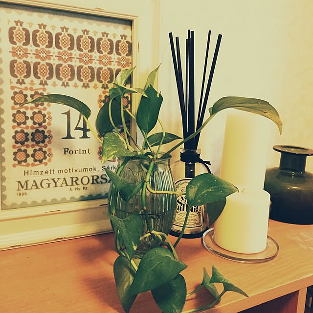 観葉植物/棚のインテリア実例 - 2016-04-11 13:51:49