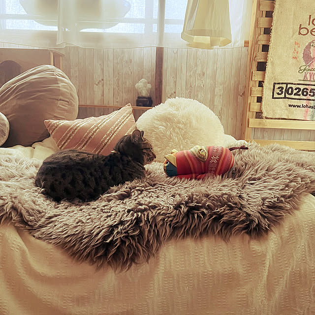 Mさんの実例写真