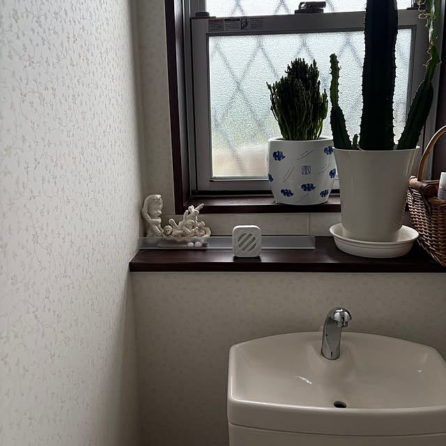 alchoさんの部屋