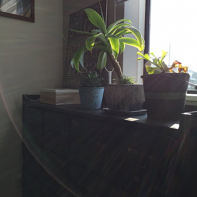 tkc034さんの実例写真