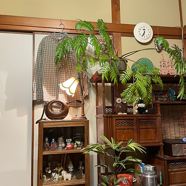 shin0719さんの実例写真