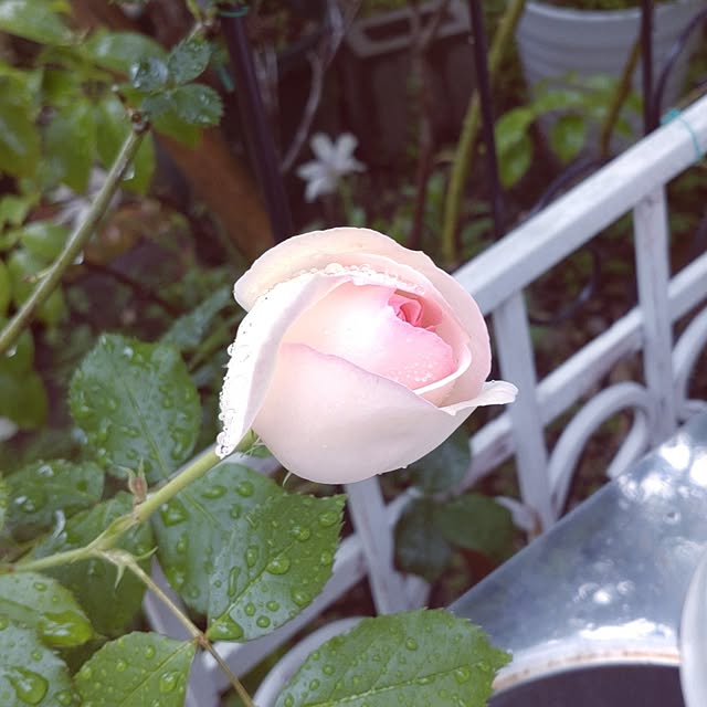 Bienvenueさんの部屋