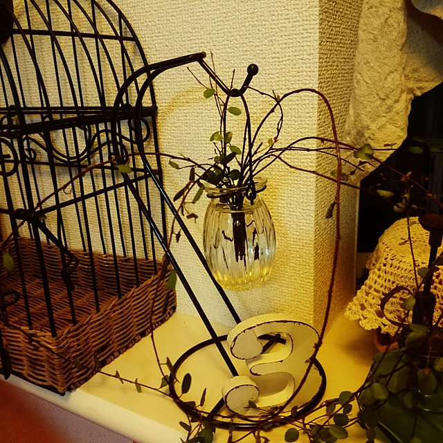 soraさんの実例写真