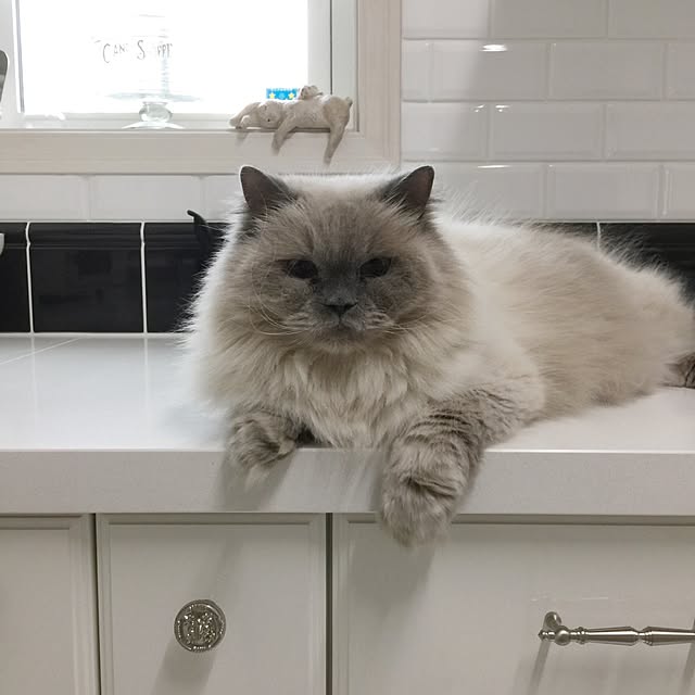 yuchiさんの実例写真