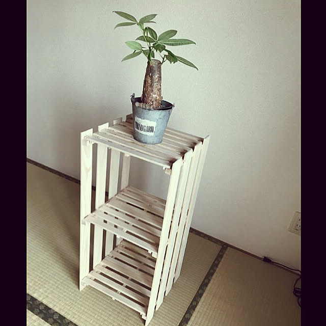 hasuhasuhasuさんの実例写真