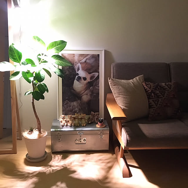 N.P.さんの実例写真