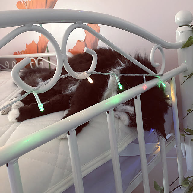 kanaさんの実例写真