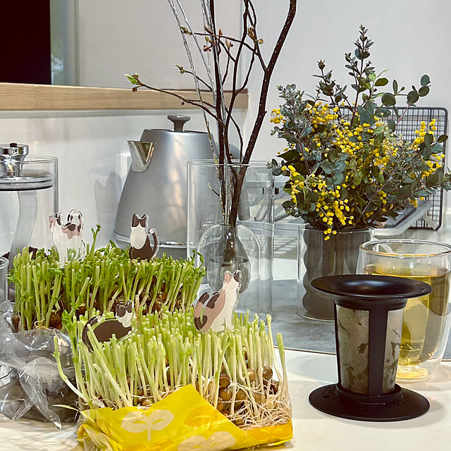 DAYONEさんの部屋