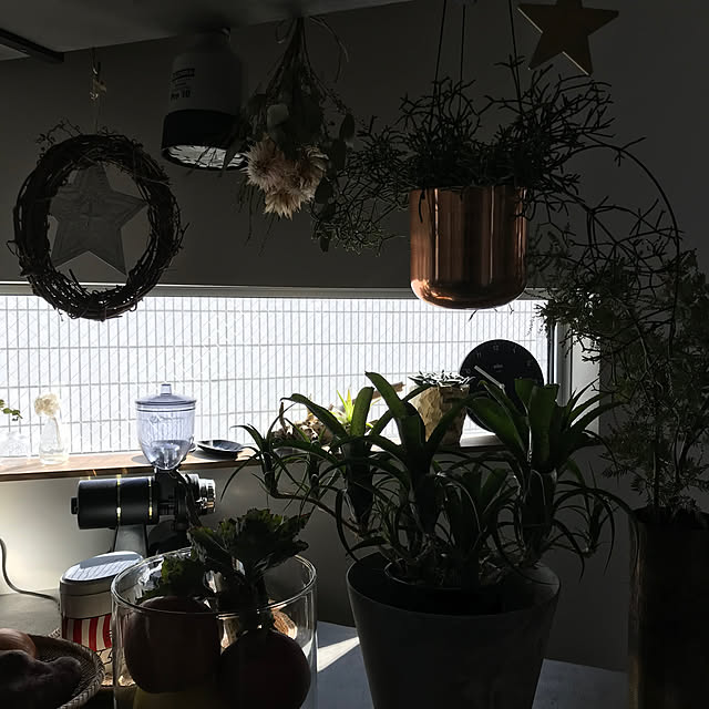 r_i_c_aさんの部屋