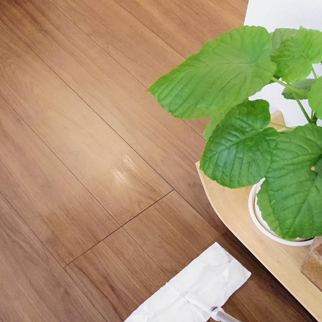 Shinohazuさんの実例写真