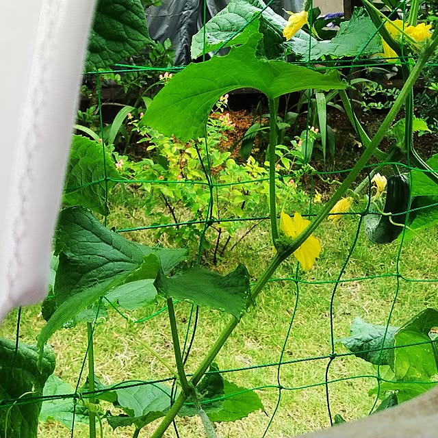katさんの部屋