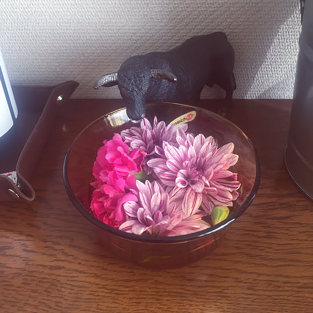 kumaさんの実例写真