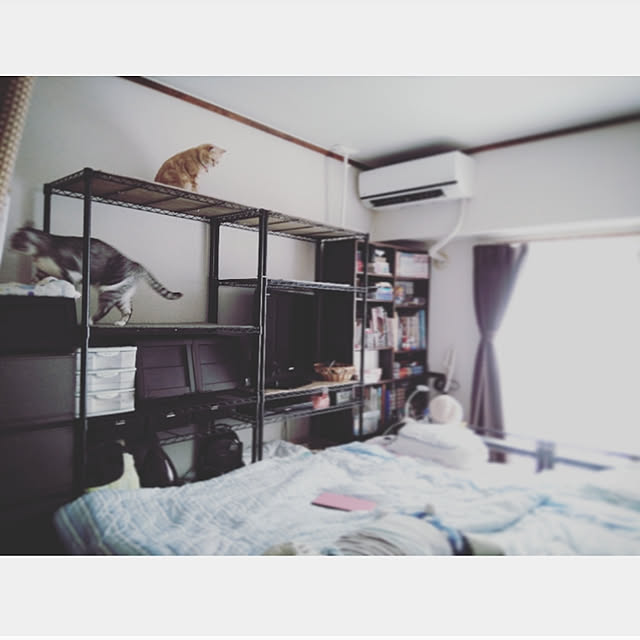mntcさんの実例写真
