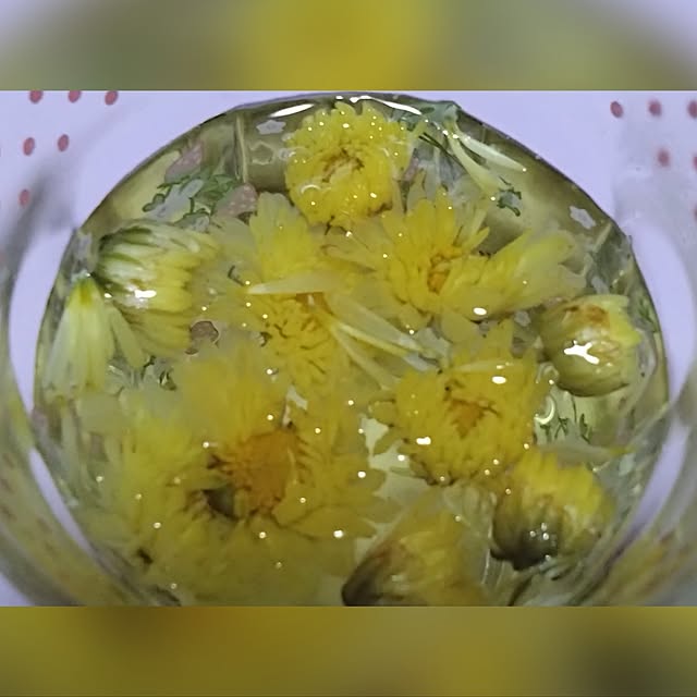 RUrumoさんの実例写真