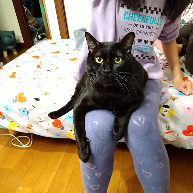 Tさんの実例写真
