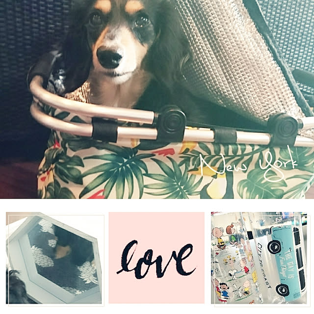 cocosorasakuさんの実例写真