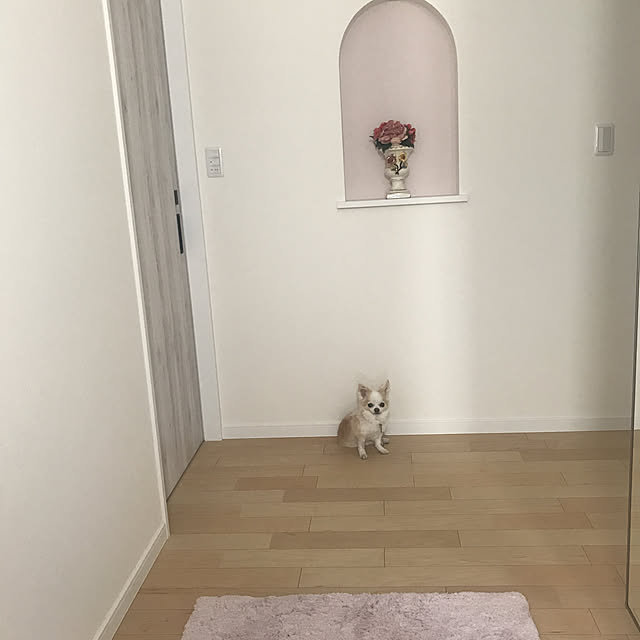 Sweetpeaさんの実例写真