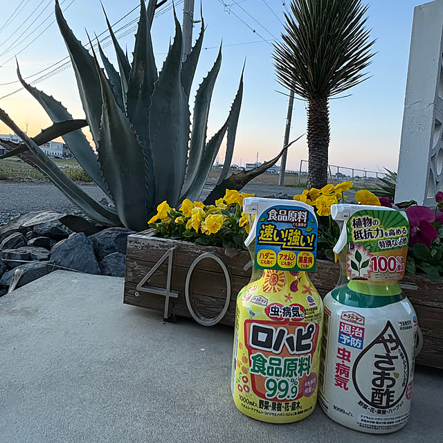 RYOさんの実例写真