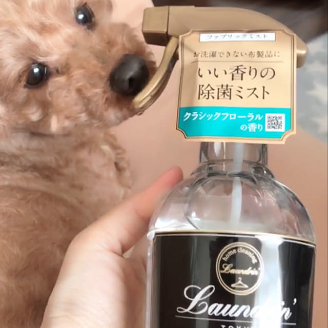 eriharuさんの実例写真