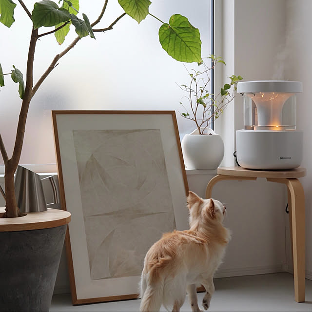 seriさんの実例写真